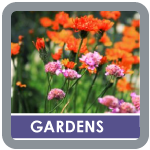 Hampshire gardeners